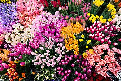 主演受训两年 《地狱之刃2》战斗将会真实而又残忍